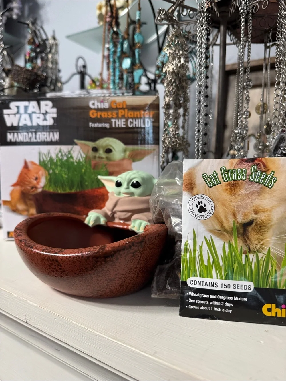 Star Wars The Child Cat Grass Planter Bowl